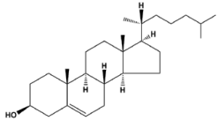 Colesterol